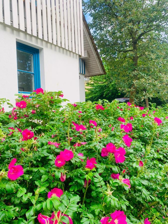 Ferienwohnung Schwalbe Wieck/Darss Exteriér fotografie